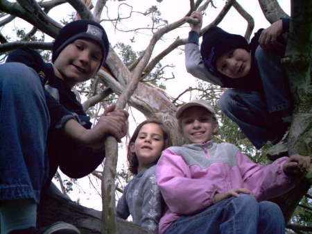 camping kids in tree