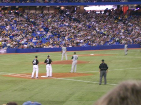 blue jays