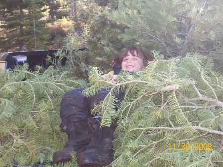 Dakota on 2008 Christmas Tree