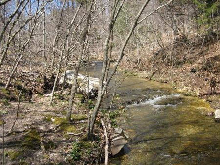 Live water on our property - small stream