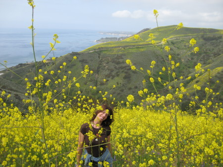 Wildflowers!