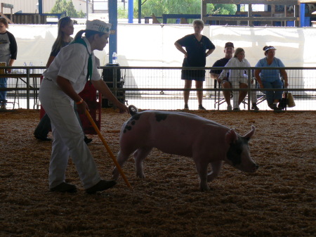 Showing the Hog