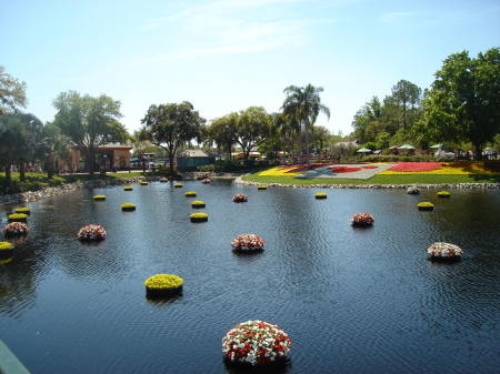 Justin Fadeff's album, Disney&#39;s Epcot Center