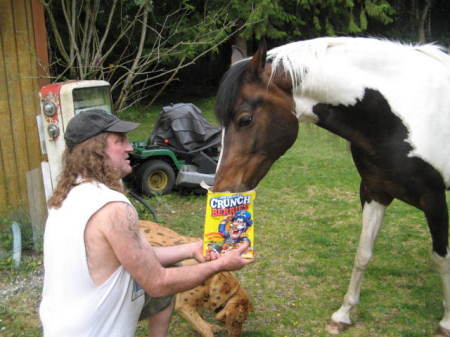 Hubby,Horse, dog