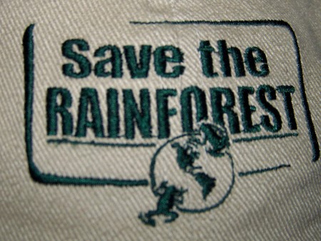 Save the Rainforest!