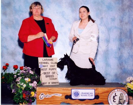 Best of Breed--(the dog not me!)