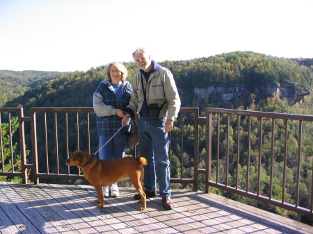 Overlook at Blue Heron in the Big South Fork