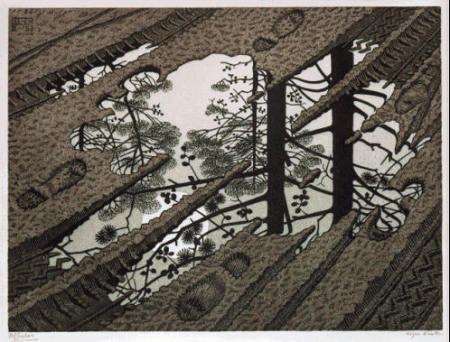 Escher, Puddle 1952