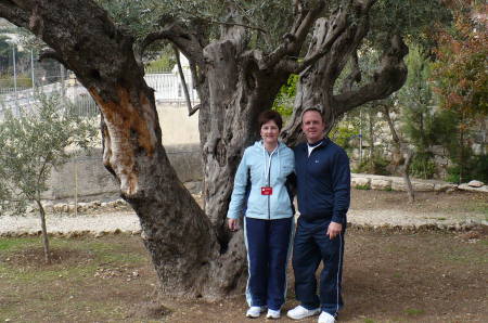 Garden of Gethsemane