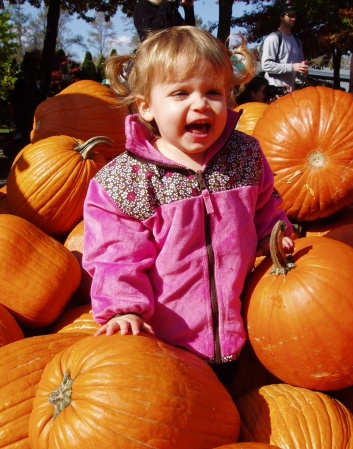 Pumpkin Patch