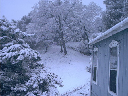 winter of 2006 from my front door