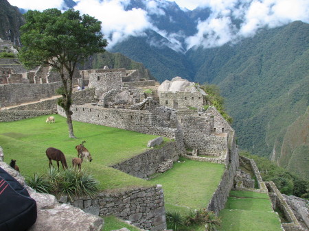 machu pichu