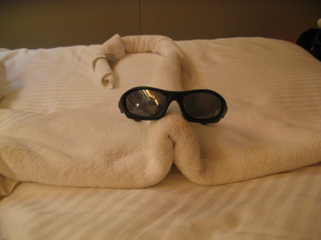 Towel Animal