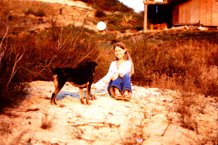 Dogs at the Dome, Tuna Canyon