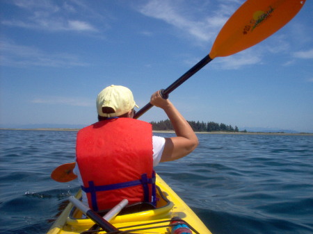 kayaking to Tree Island