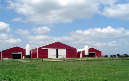 Our horse program, Prairie Sky Horse Ranch, is SW of Plymouth