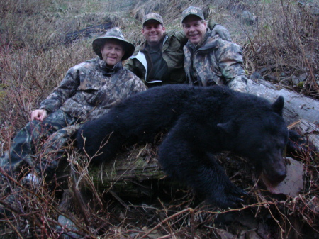 Vancouver Island Black Bear