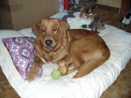 Rusty 2008