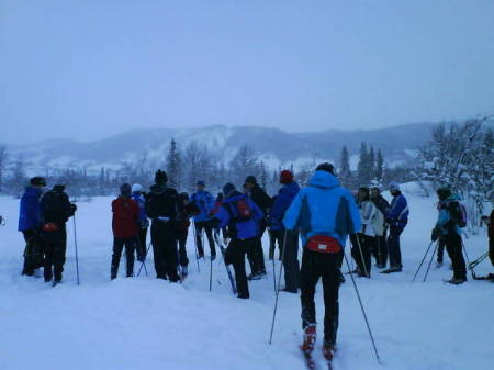 x country skiing in Beitestolen