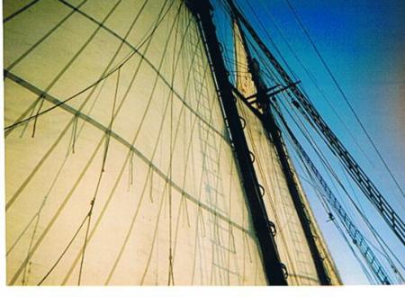 shenandoah sails 2007