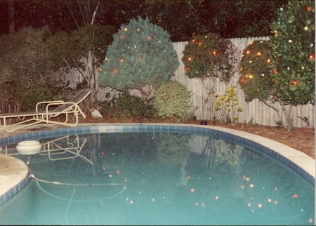 Christmas lights around the pool