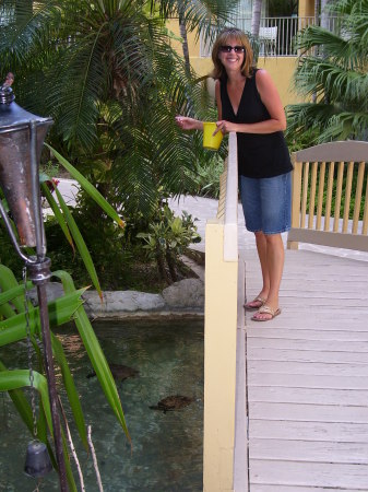 Turtle Feeding, Cayman Islands June 2007