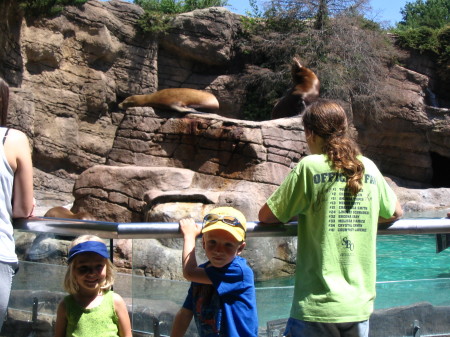 My Kids at the Zoo