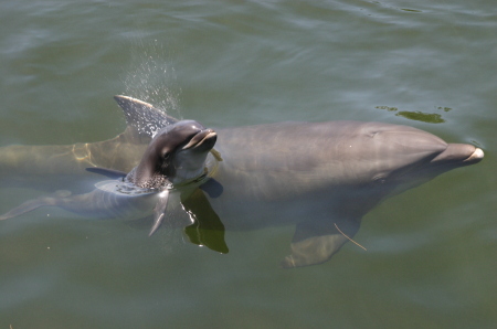 Key Largo in March - one of my favorite places!