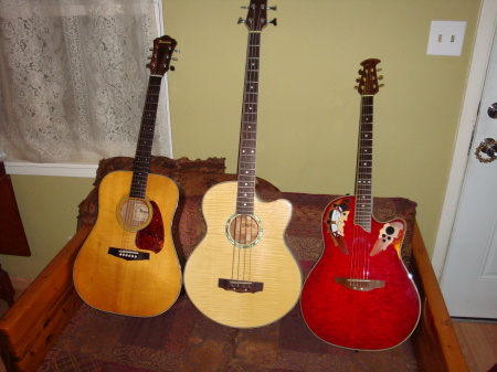 Fender, Sonata, Ovation.