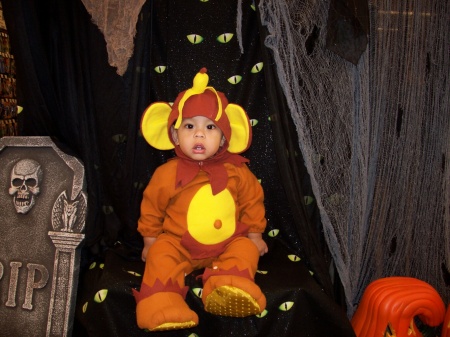Jayden's 1st halloween!!  2008 he was a monkey