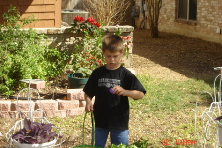 Easter 2008