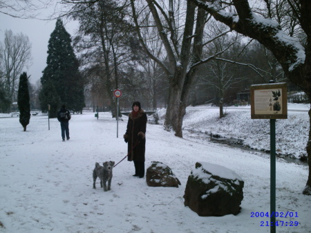 The town park, St. Ingbert Germany