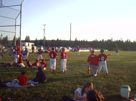 My Summer Baseball Team