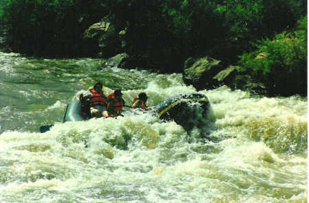 Rafting The Arkansas