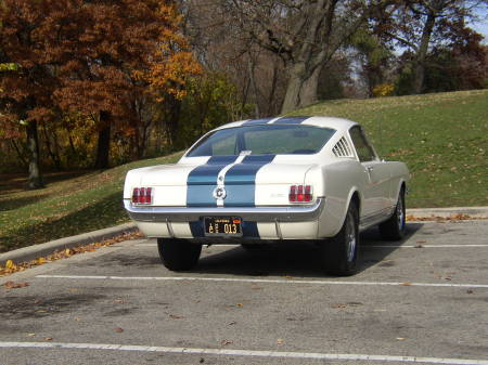My 1965 Shelby GT350