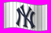 NY Yankees!