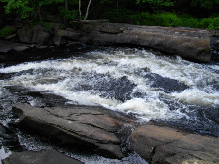 Oxtongue Rapids