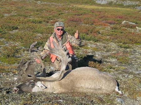 Caribou 2006