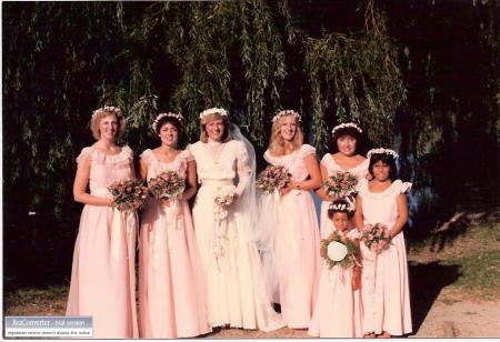 Robin's Wedding 1982
