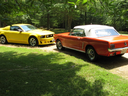 mustangs anyone?