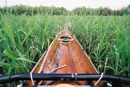 My kayak