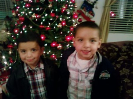 My Grandsons
