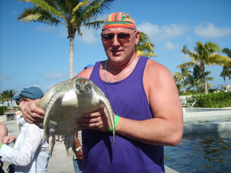 At the turtle farm on Grand Cayman