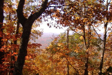 camping at cheaha 11-04 thru 11-06 -2008 026