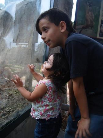 the kids at SB zoo. july.07