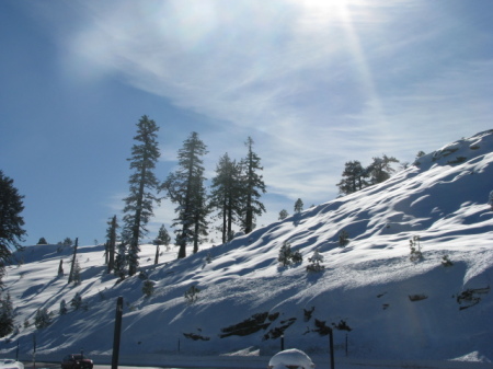 Tahoe Bound - Where nature & heaven meet!