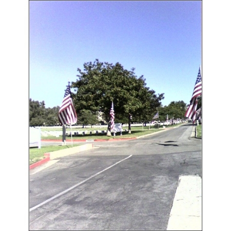 westwood ca veterans cemetary 1