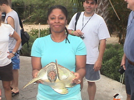 Turtle Cove, Grand Cayman