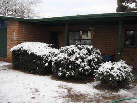 Our little Tucson house in the desart snow.