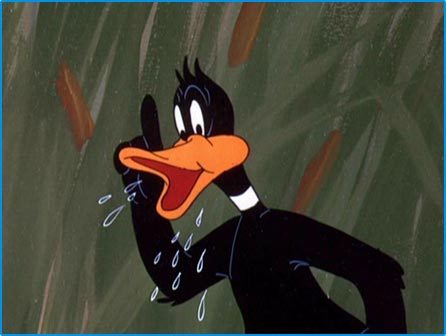 daffy-duck-2